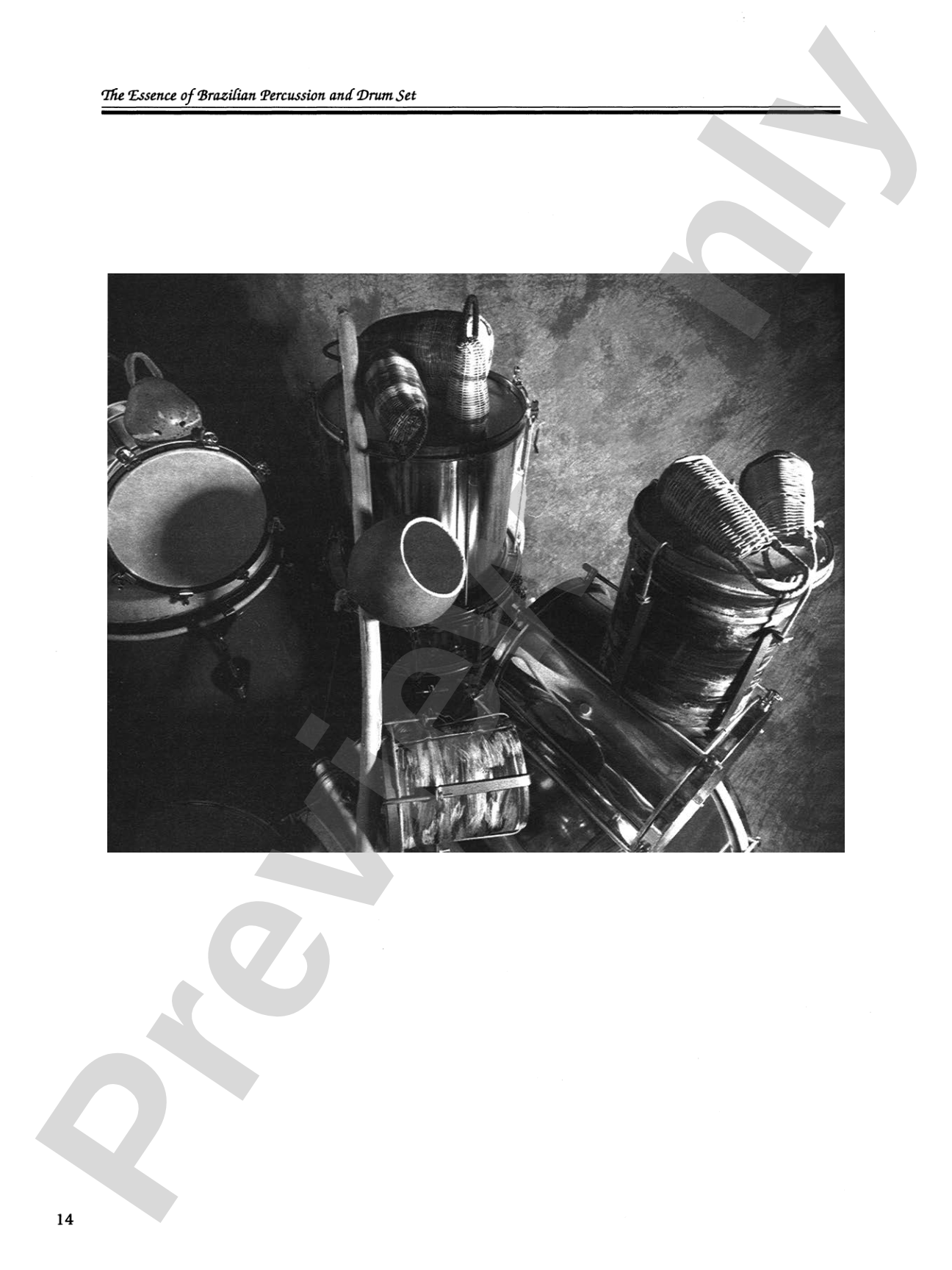 The Essence of Brazilian Percussion & Drum Set
