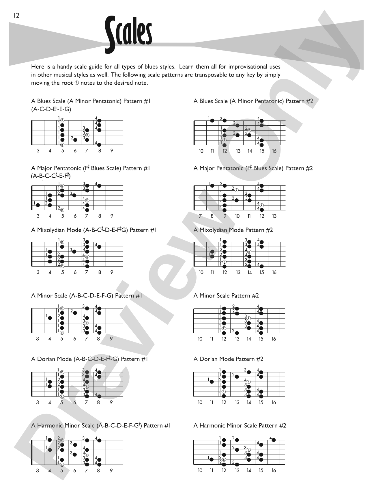 Blues Licks Encyclopedia: Over 300 Guitar Licks