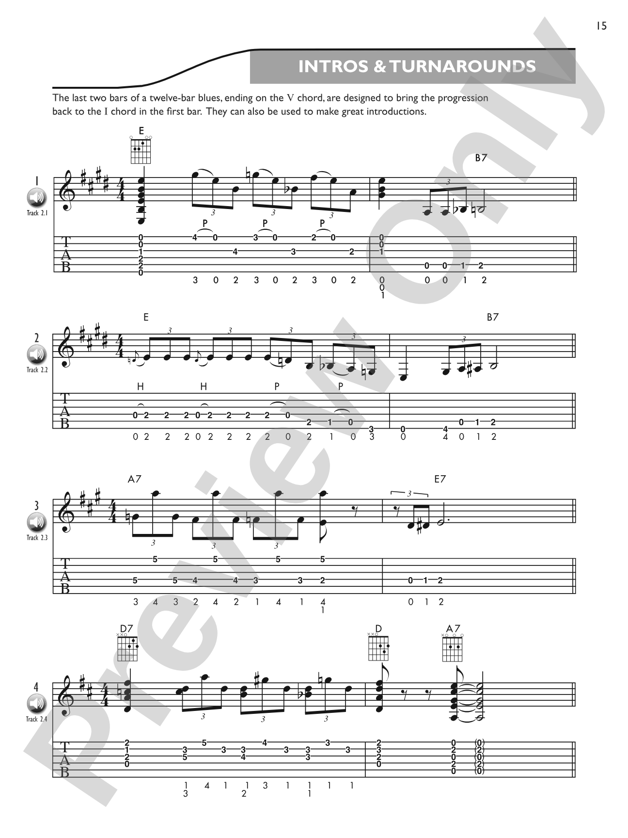 Blues Licks Encyclopedia: Over 300 Guitar Licks