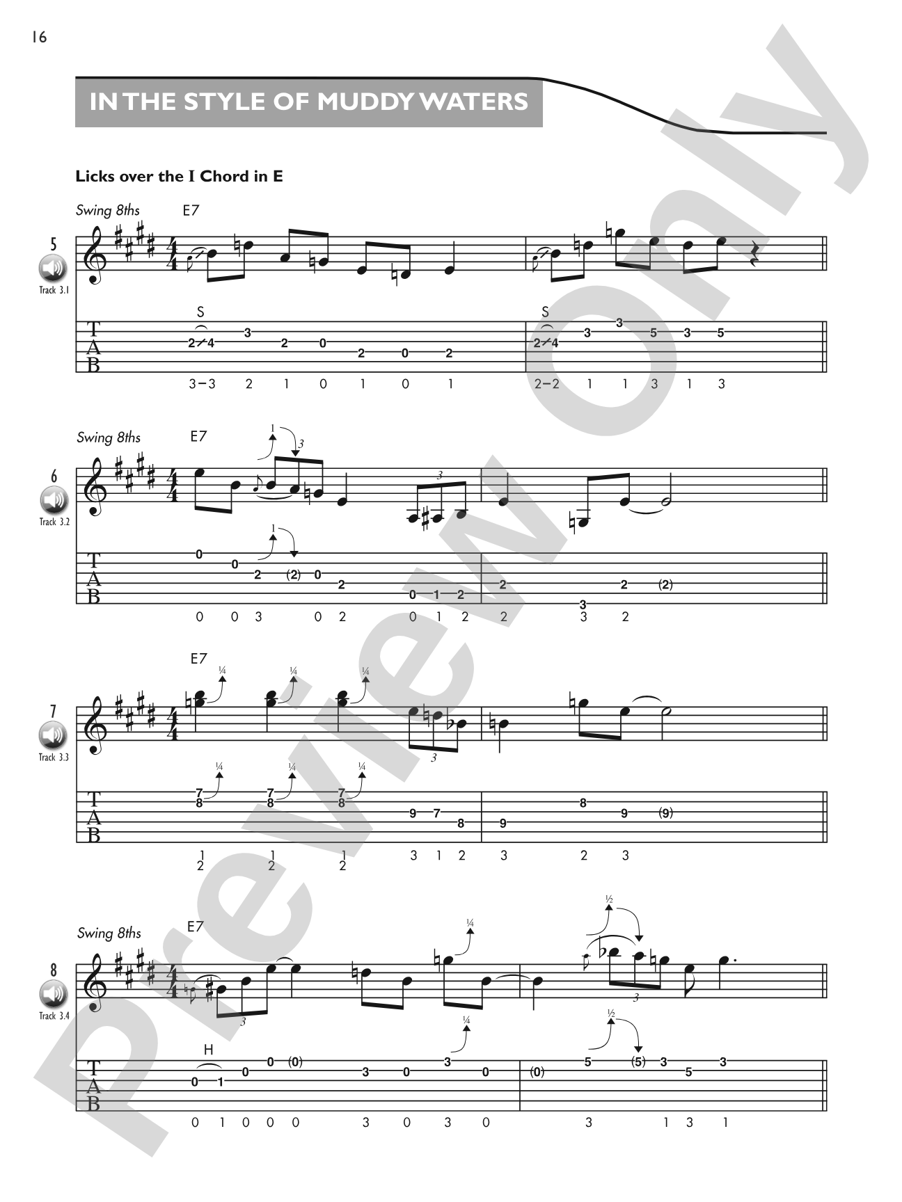 Blues Licks Encyclopedia: Over 300 Guitar Licks