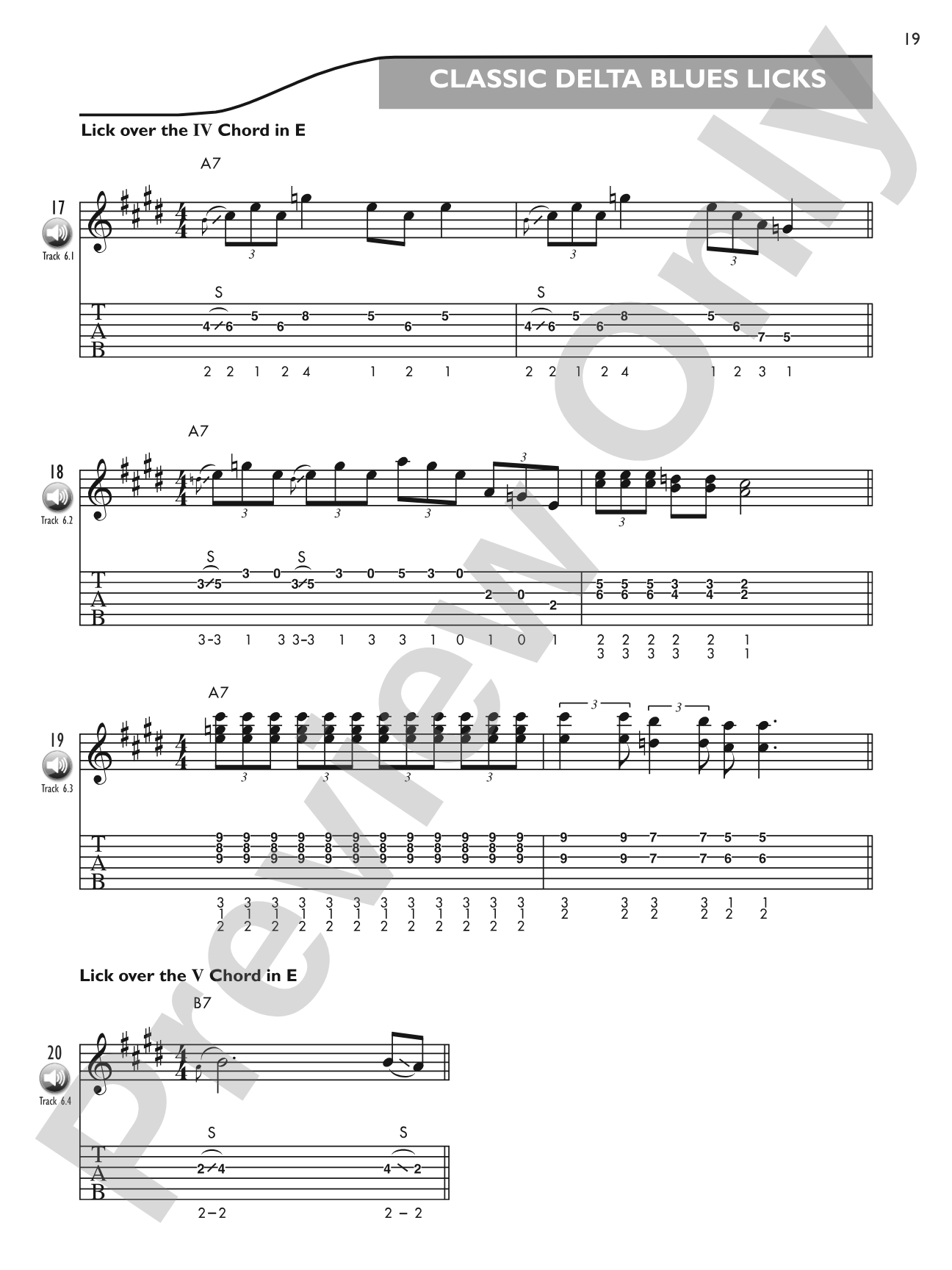 Blues Licks Encyclopedia: Over 300 Guitar Licks