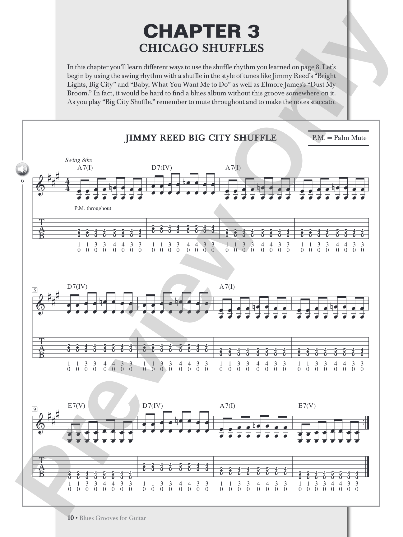 Blues Grooves for Guitar: The Essence of Blues Rhythm Guitar