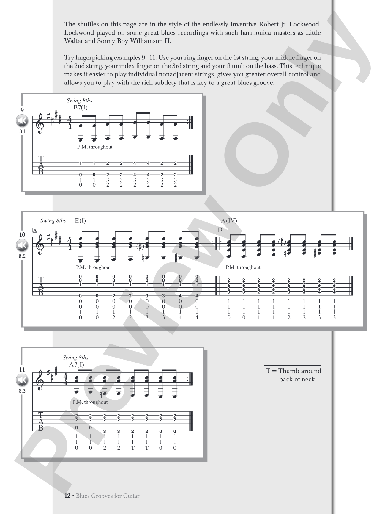 Blues Grooves for Guitar: The Essence of Blues Rhythm Guitar