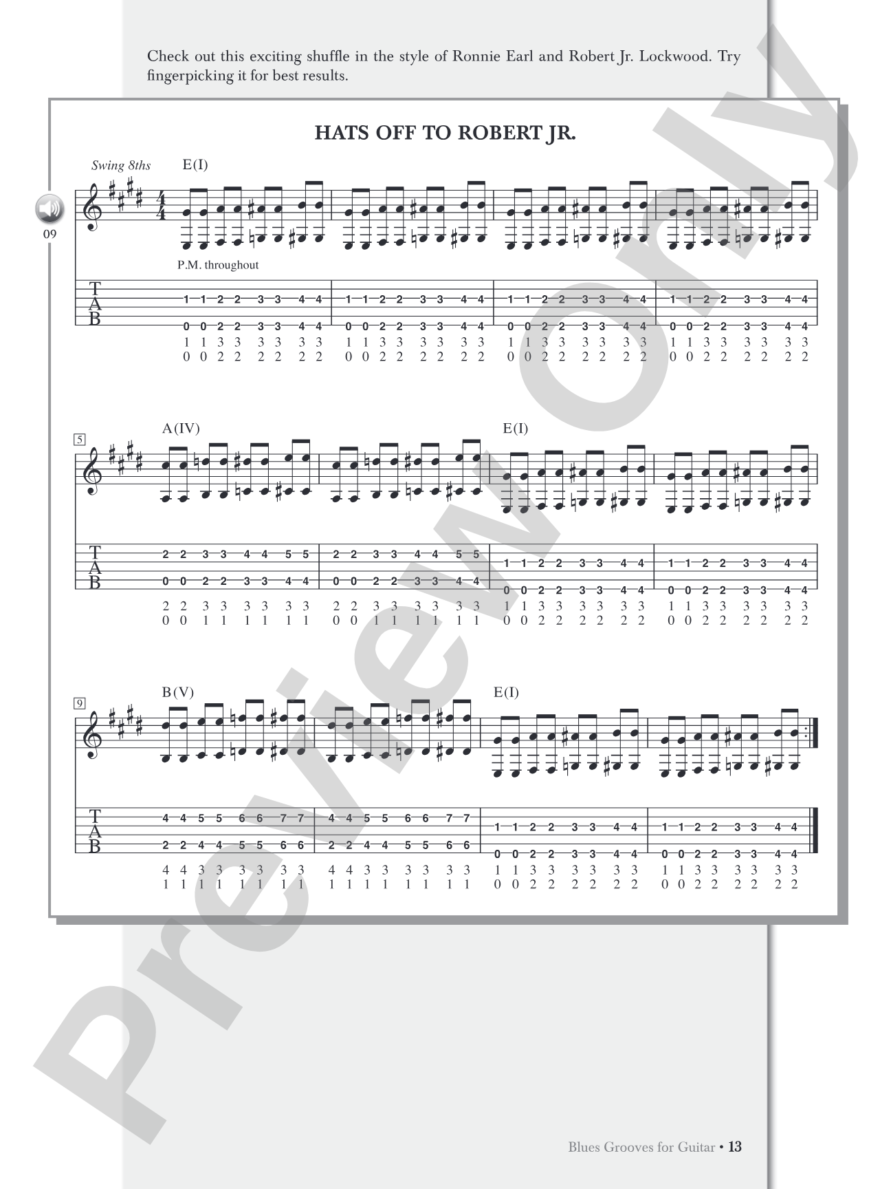 Blues Grooves for Guitar: The Essence of Blues Rhythm Guitar