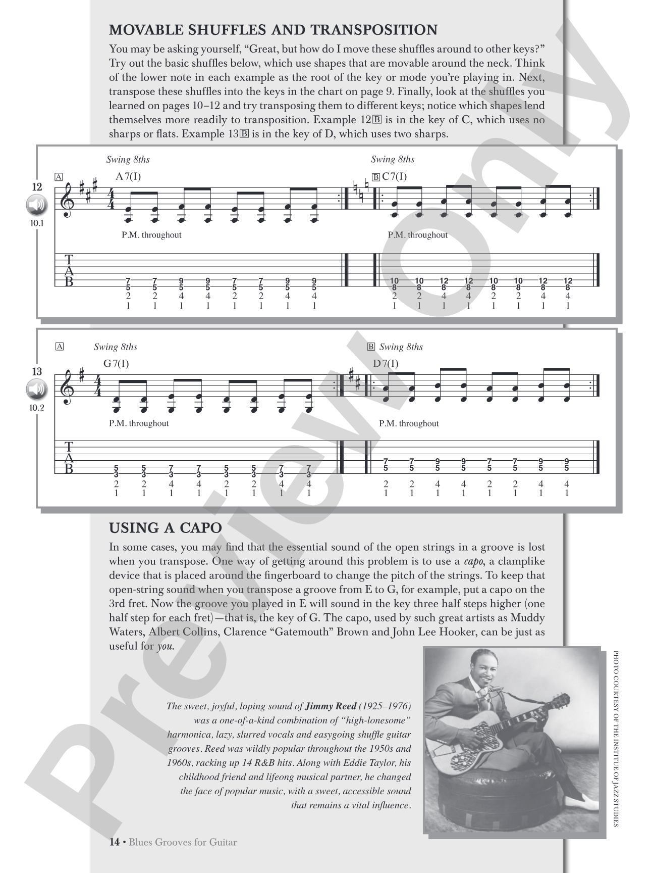 Blues Grooves for Guitar: The Essence of Blues Rhythm Guitar