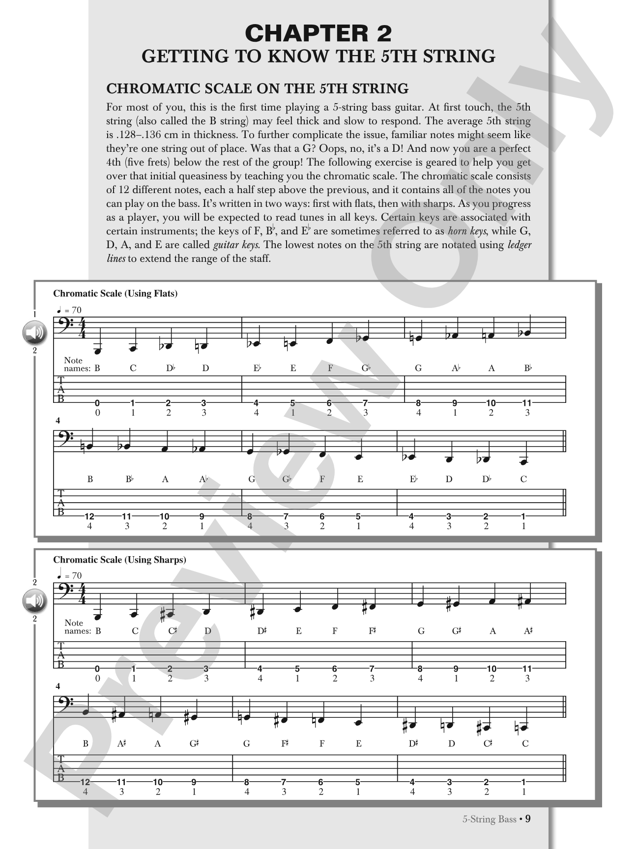 5-String Bass: Taking Your Playing to New Lows