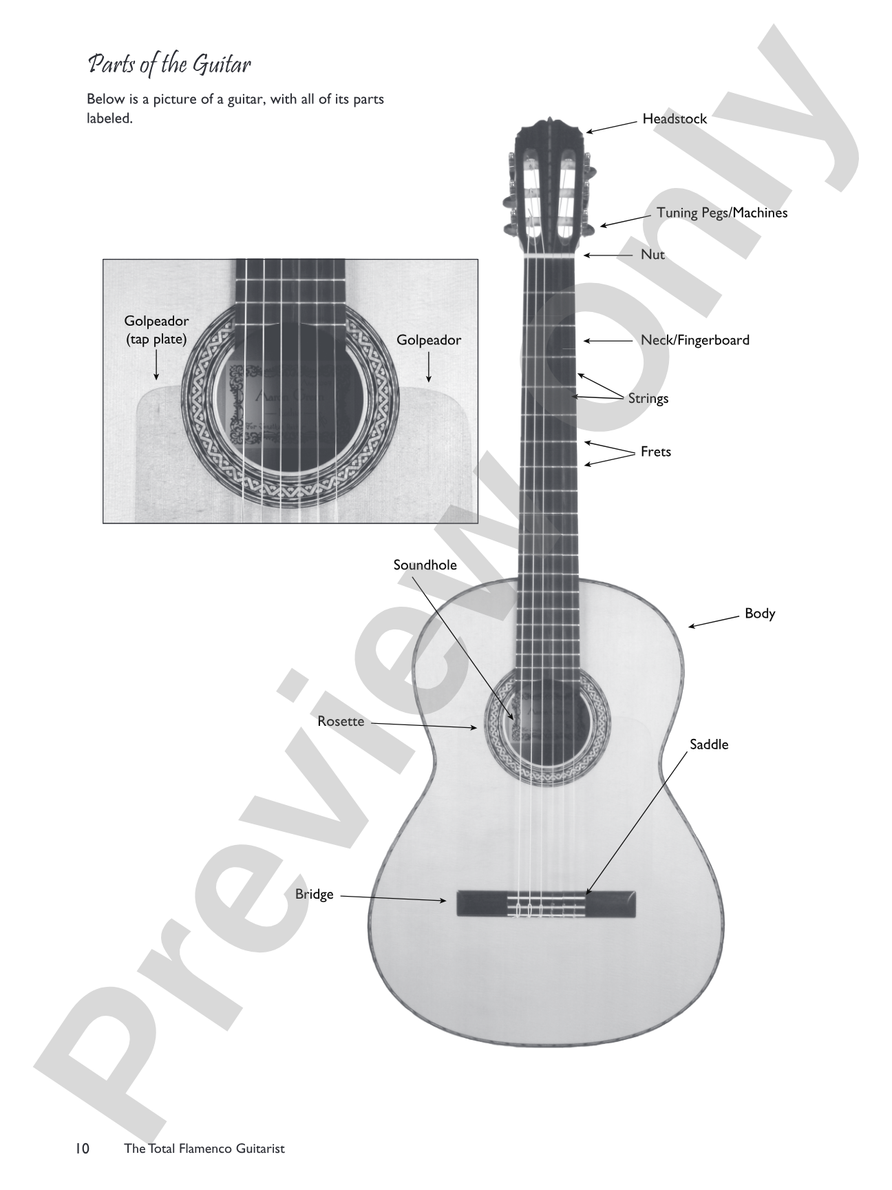 The Total Flamenco Guitarist: A Fun and Comprehensive Overview of Flamenco Guitar Playing