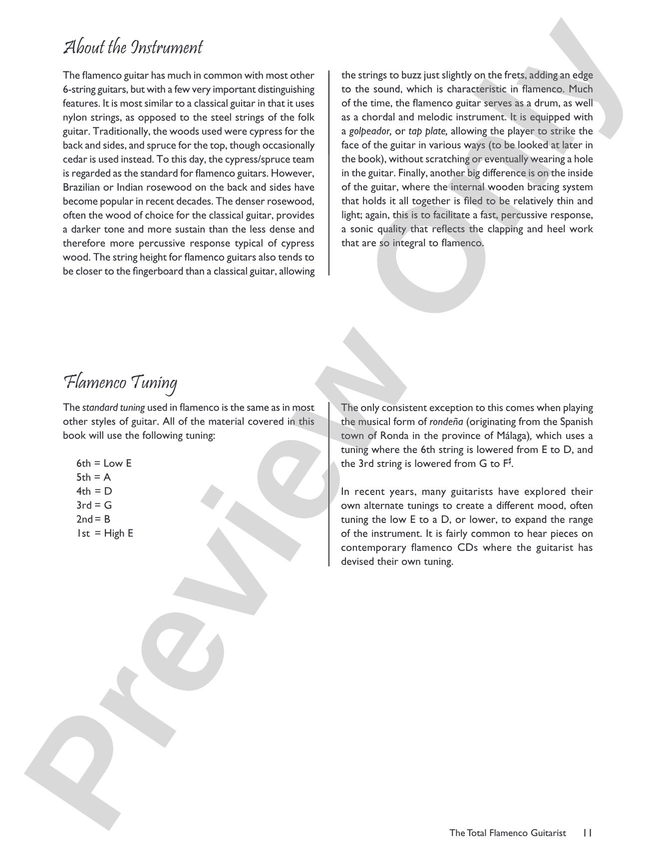 The Total Flamenco Guitarist: A Fun and Comprehensive Overview of Flamenco Guitar Playing