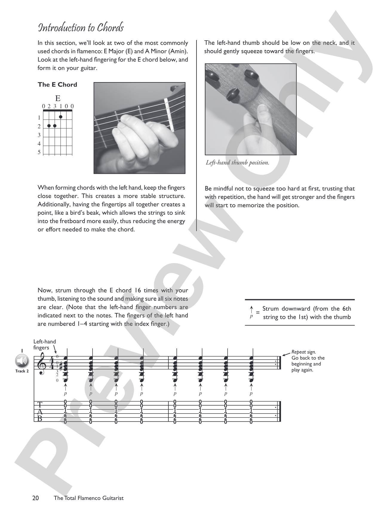 The Total Flamenco Guitarist: A Fun and Comprehensive Overview of Flamenco Guitar Playing