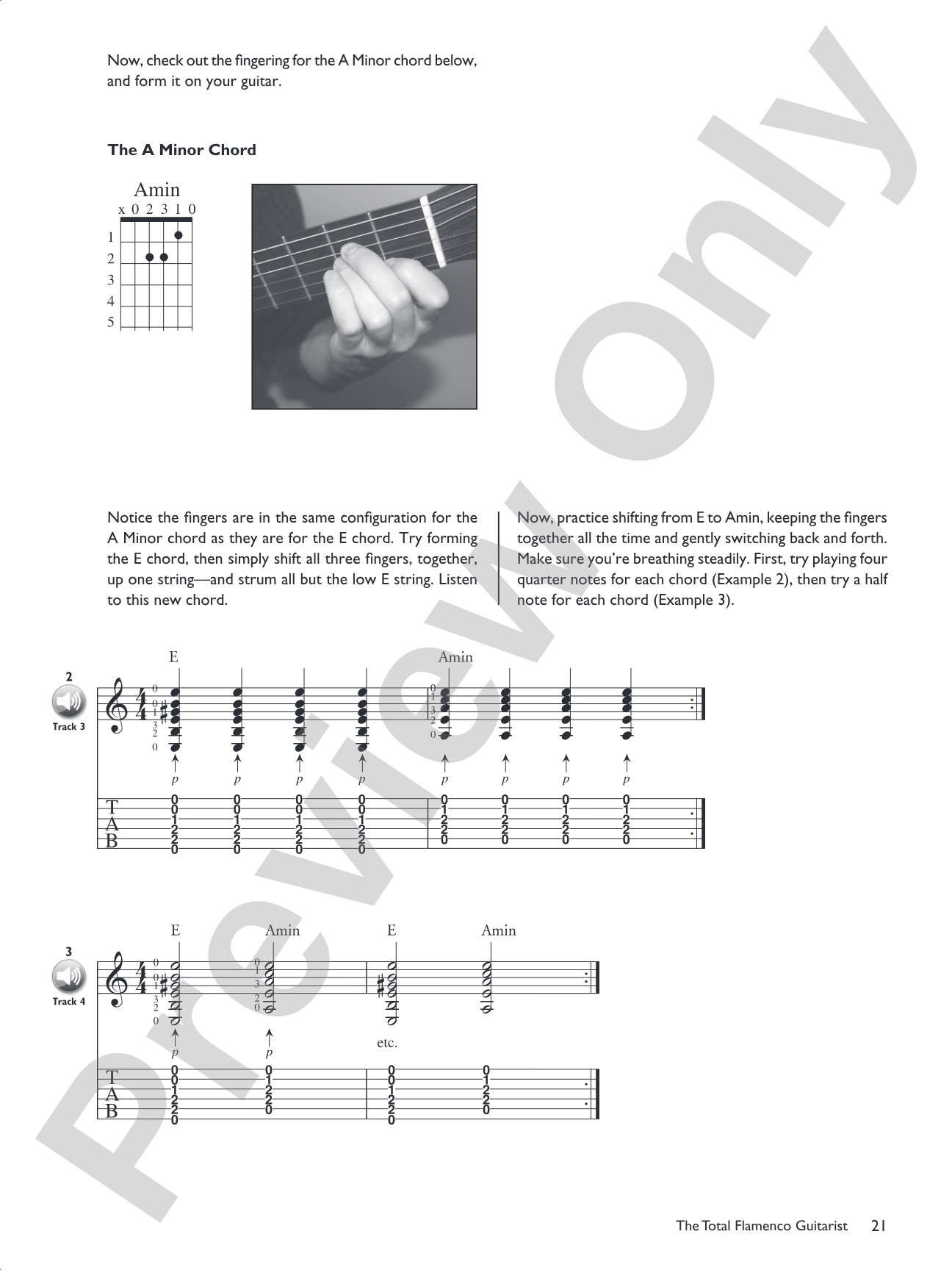 The Total Flamenco Guitarist: A Fun and Comprehensive Overview of Flamenco Guitar Playing