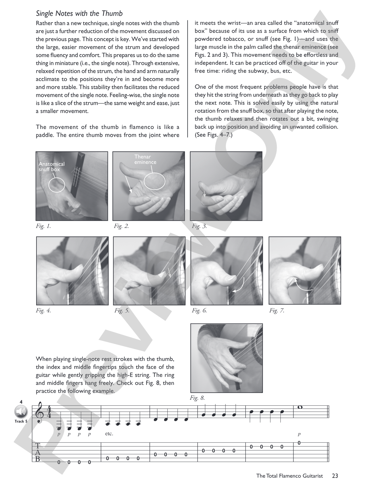 The Total Flamenco Guitarist: A Fun and Comprehensive Overview of Flamenco Guitar Playing