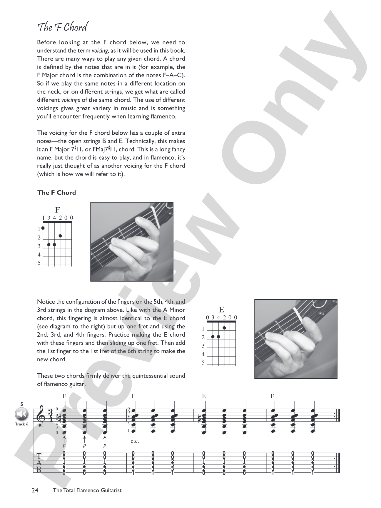 The Total Flamenco Guitarist: A Fun and Comprehensive Overview of Flamenco Guitar Playing