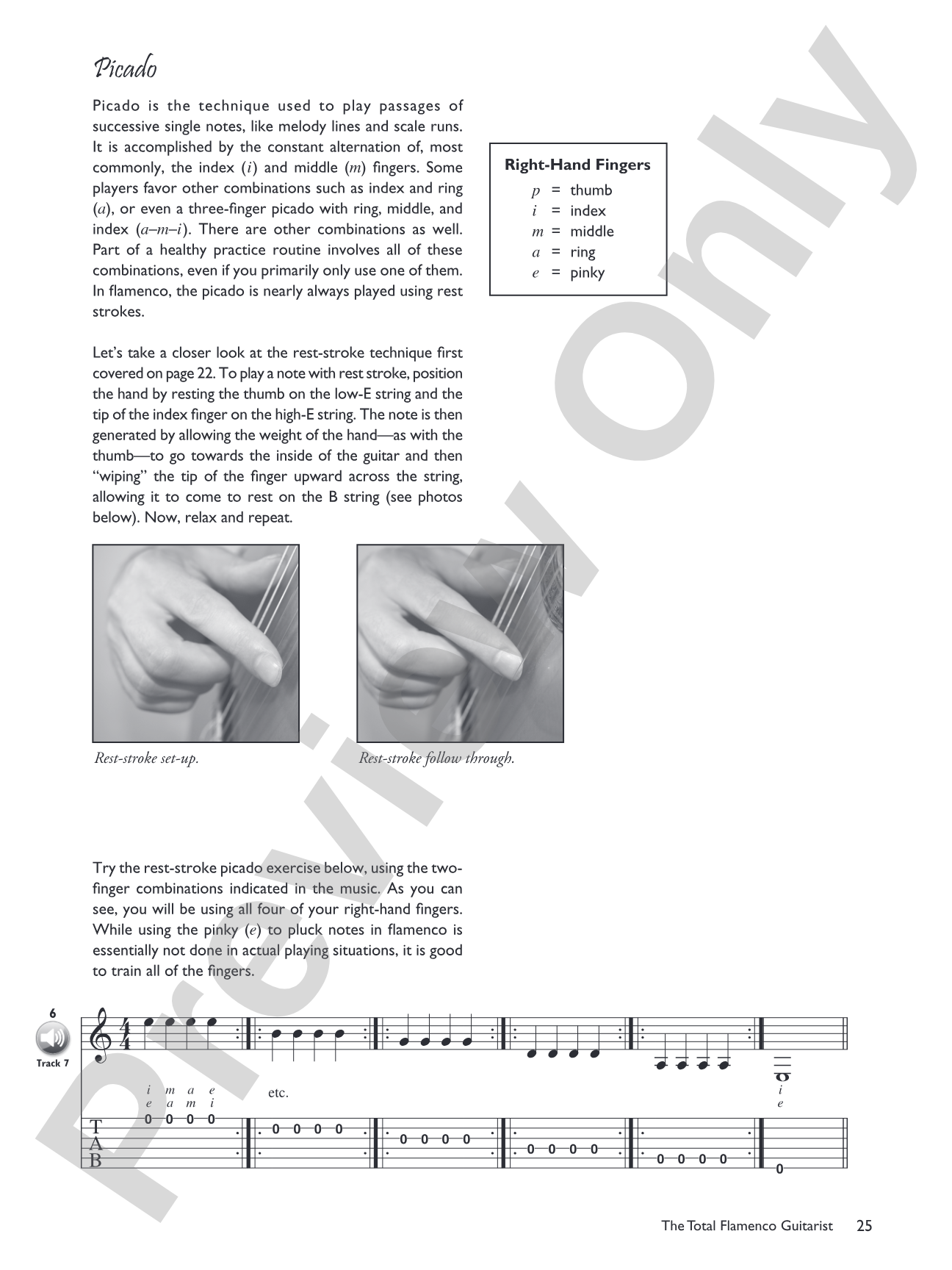 The Total Flamenco Guitarist: A Fun and Comprehensive Overview of Flamenco Guitar Playing