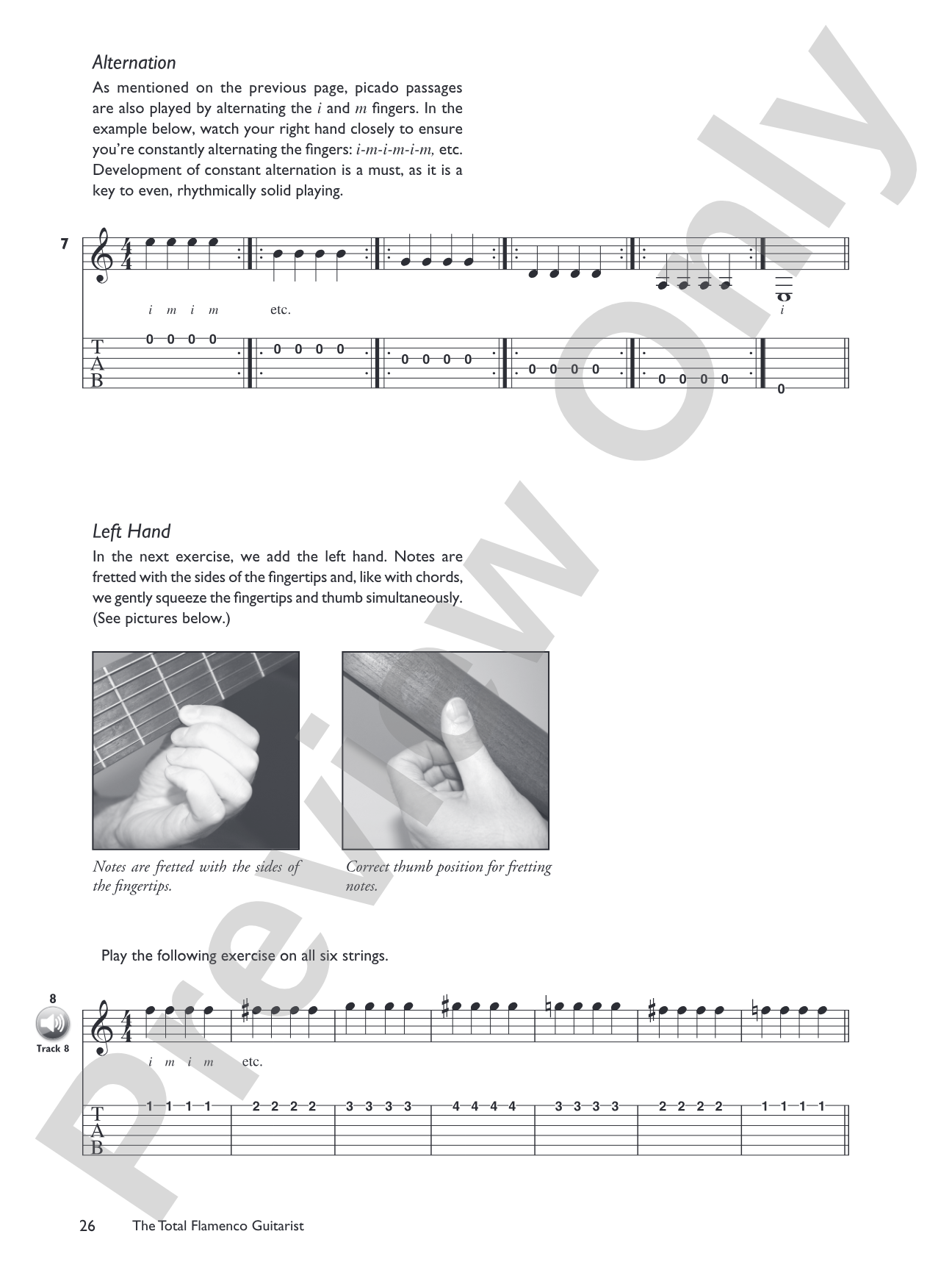The Total Flamenco Guitarist: A Fun and Comprehensive Overview of Flamenco Guitar Playing