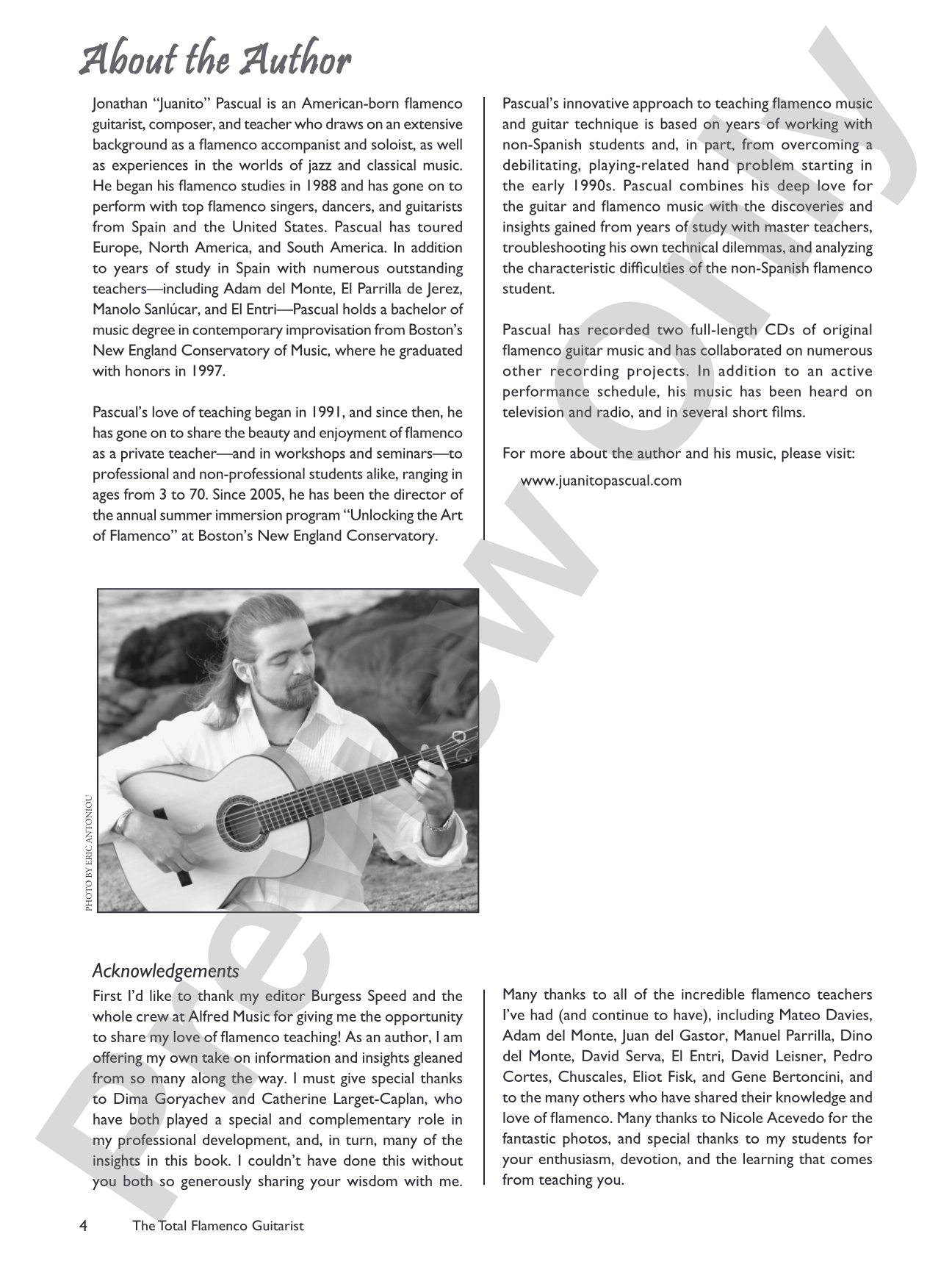 The Total Flamenco Guitarist: A Fun and Comprehensive Overview of Flamenco Guitar Playing