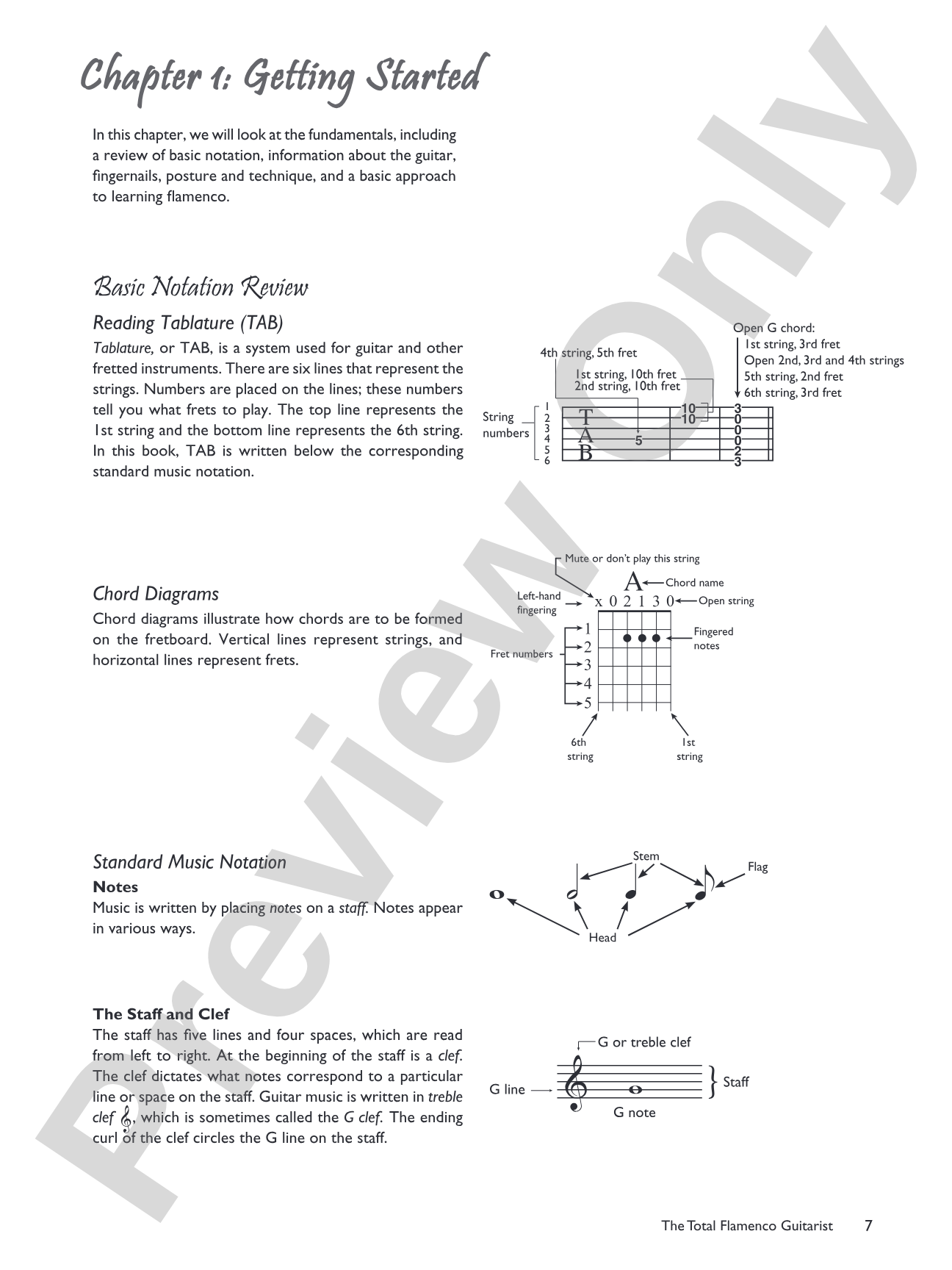 The Total Flamenco Guitarist: A Fun and Comprehensive Overview of Flamenco Guitar Playing