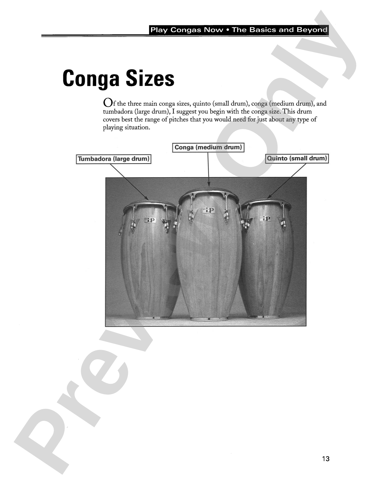 Play Congas Now: The Basics & Beyond