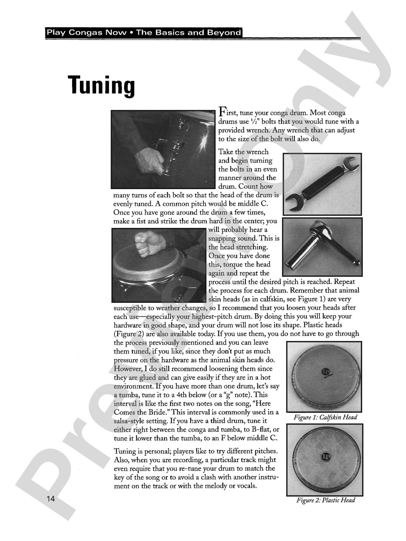 Play Congas Now: The Basics & Beyond