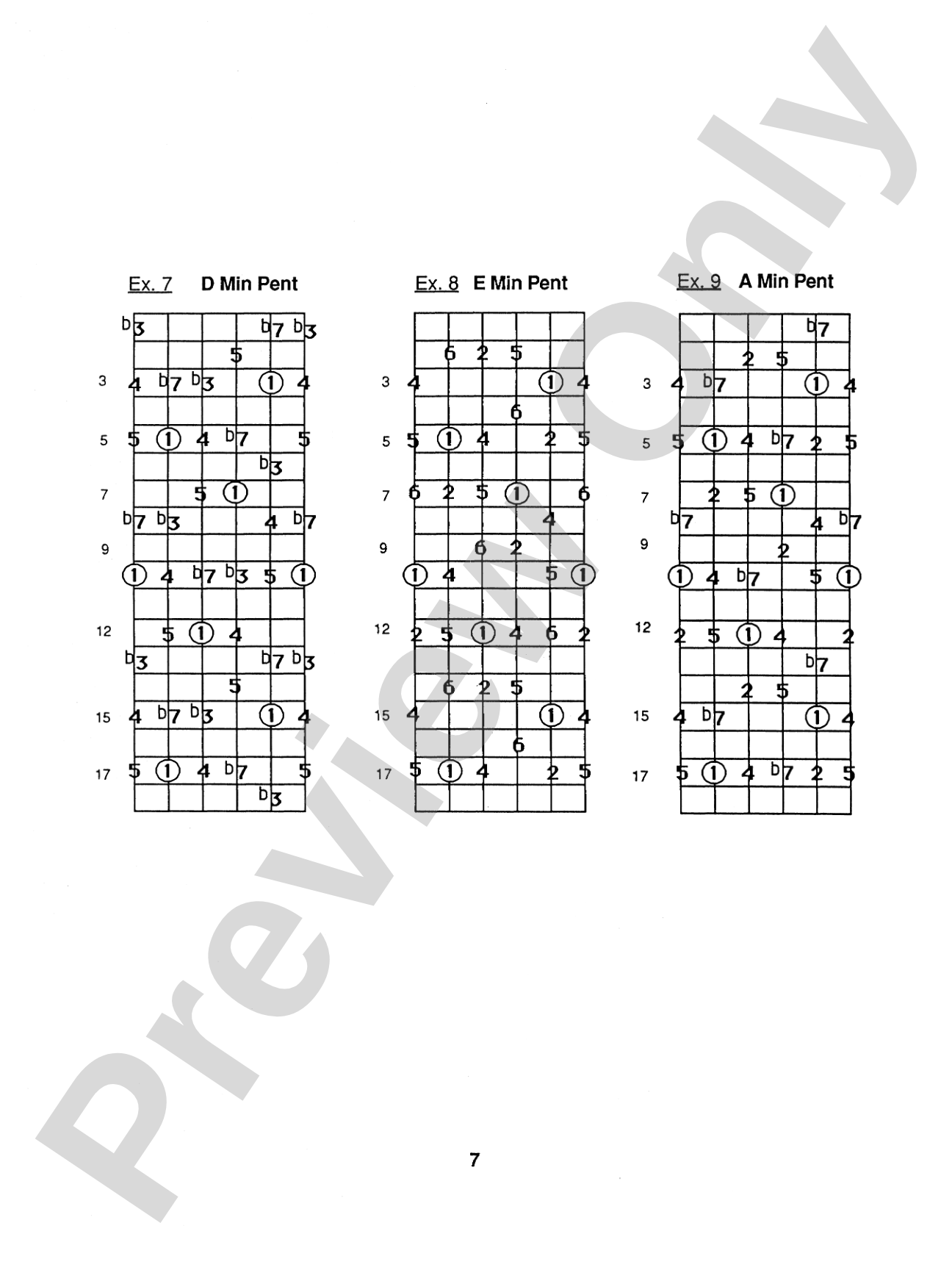 The Frank Gambale Technique Book I: The Essential Soloing Theory Course for All Guitarists