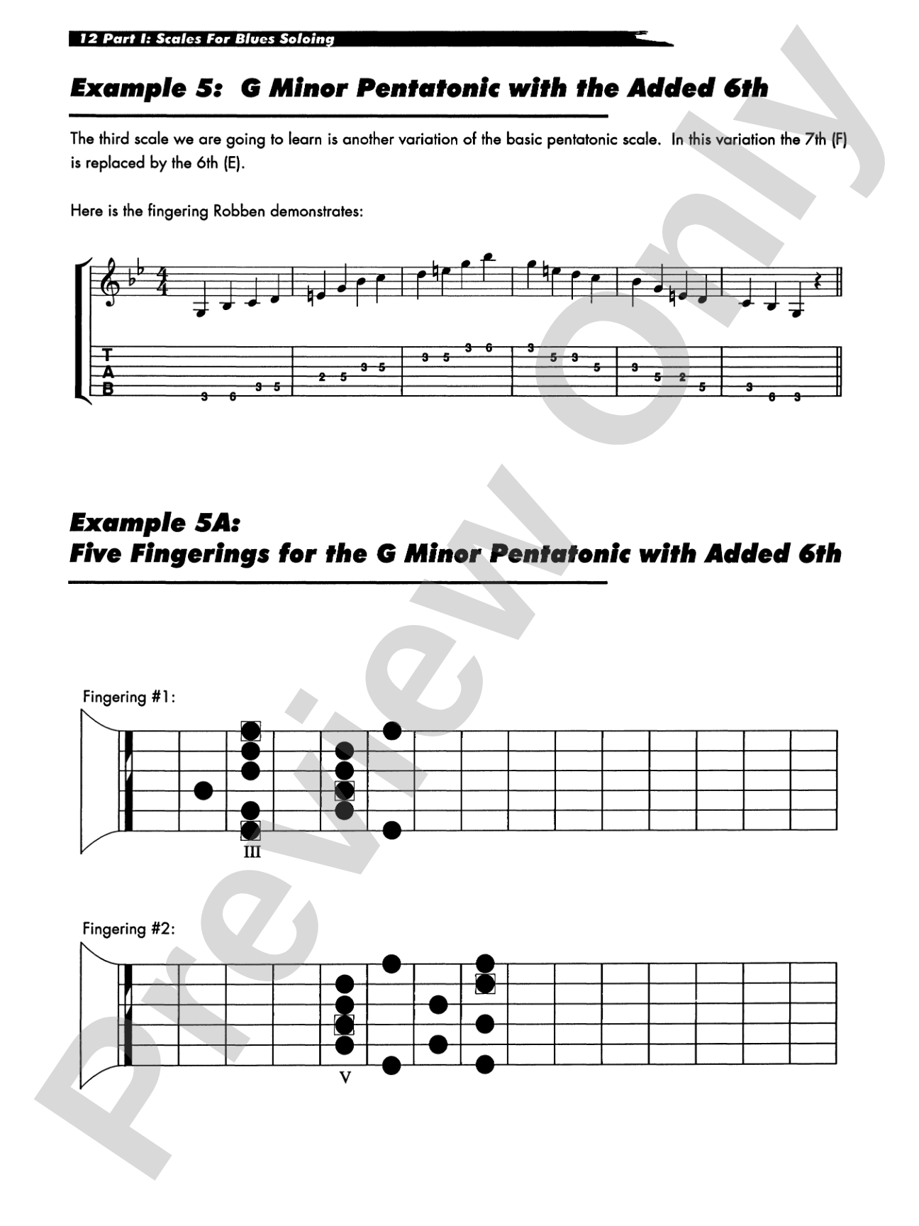 Robben Ford: Playin' the Blues