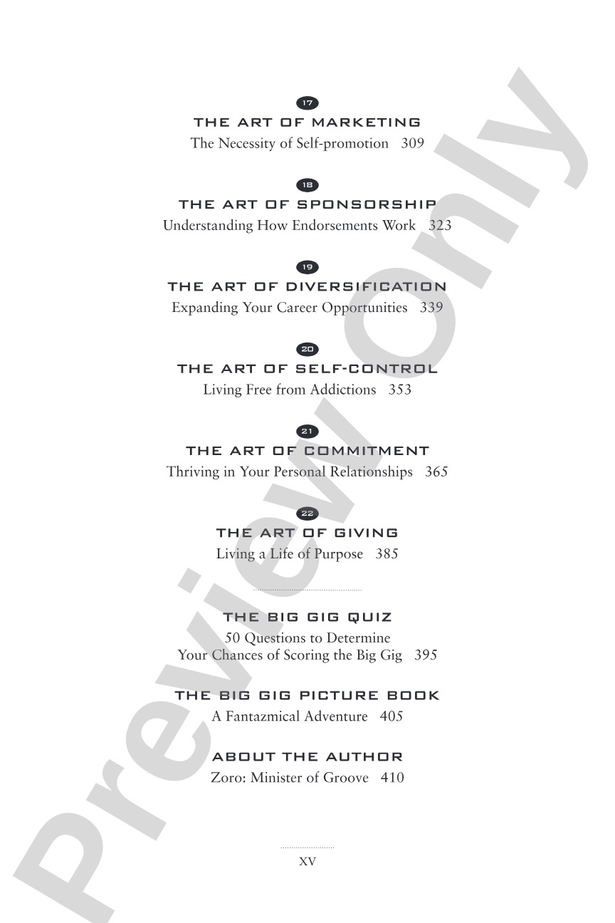 The Big Gig: Big-Picture Thinking for Success