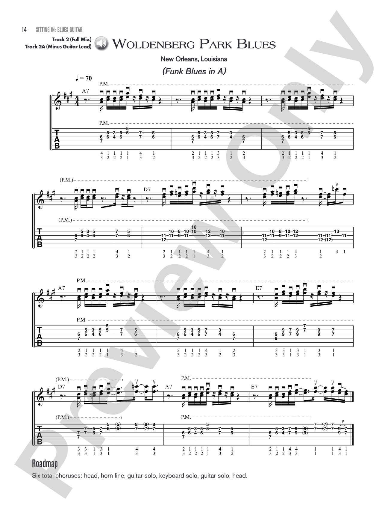 Sitting In: Blues Guitar: Backing Tracks and Improv Lessons
