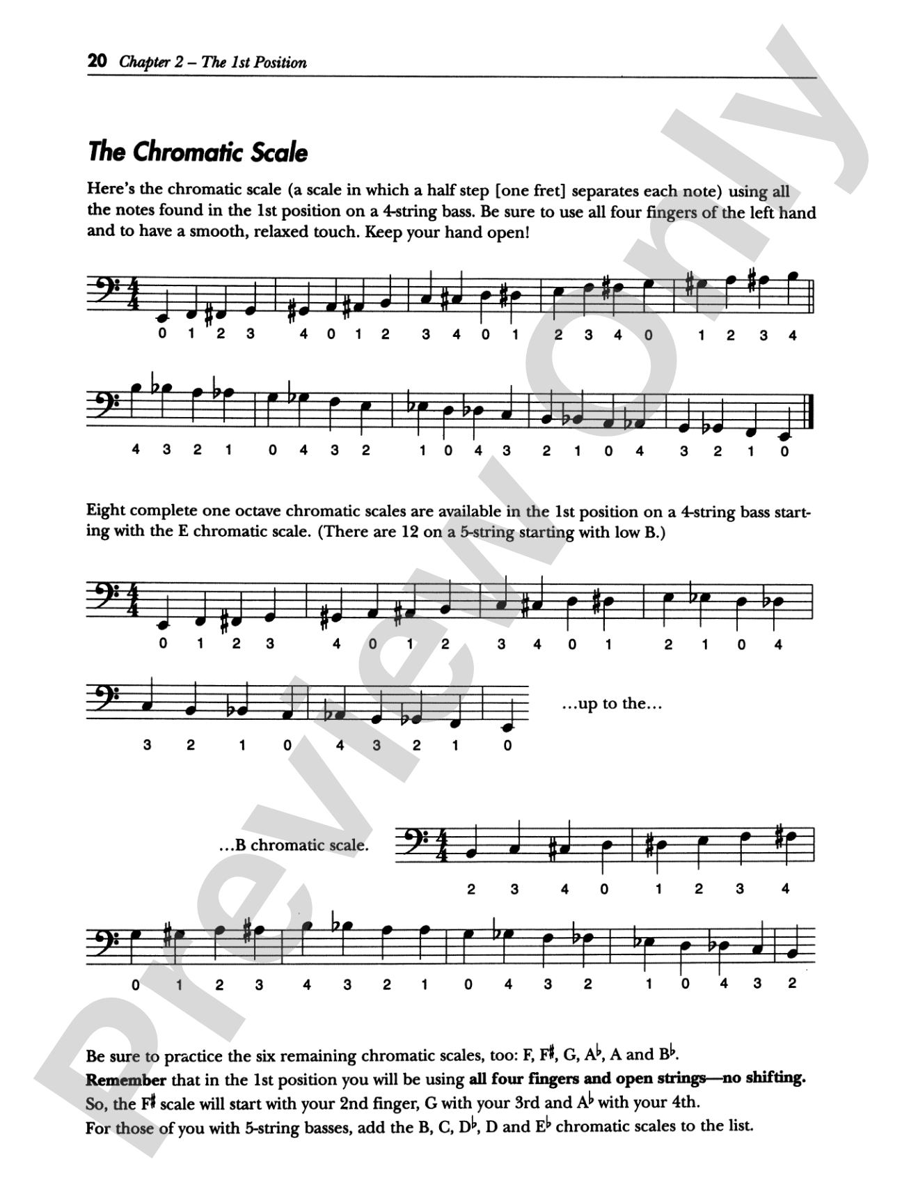 Serious Electric Bass: The Bass Player's Complete Guide to Scales and Chords