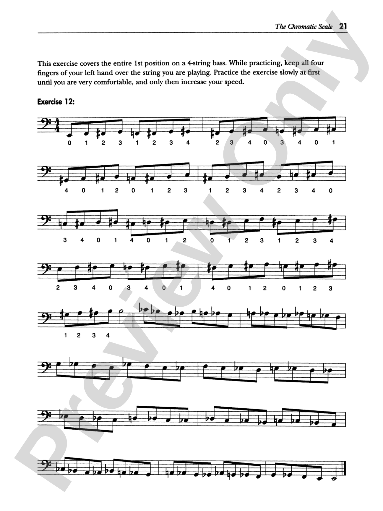 Serious Electric Bass: The Bass Player's Complete Guide to Scales and Chords