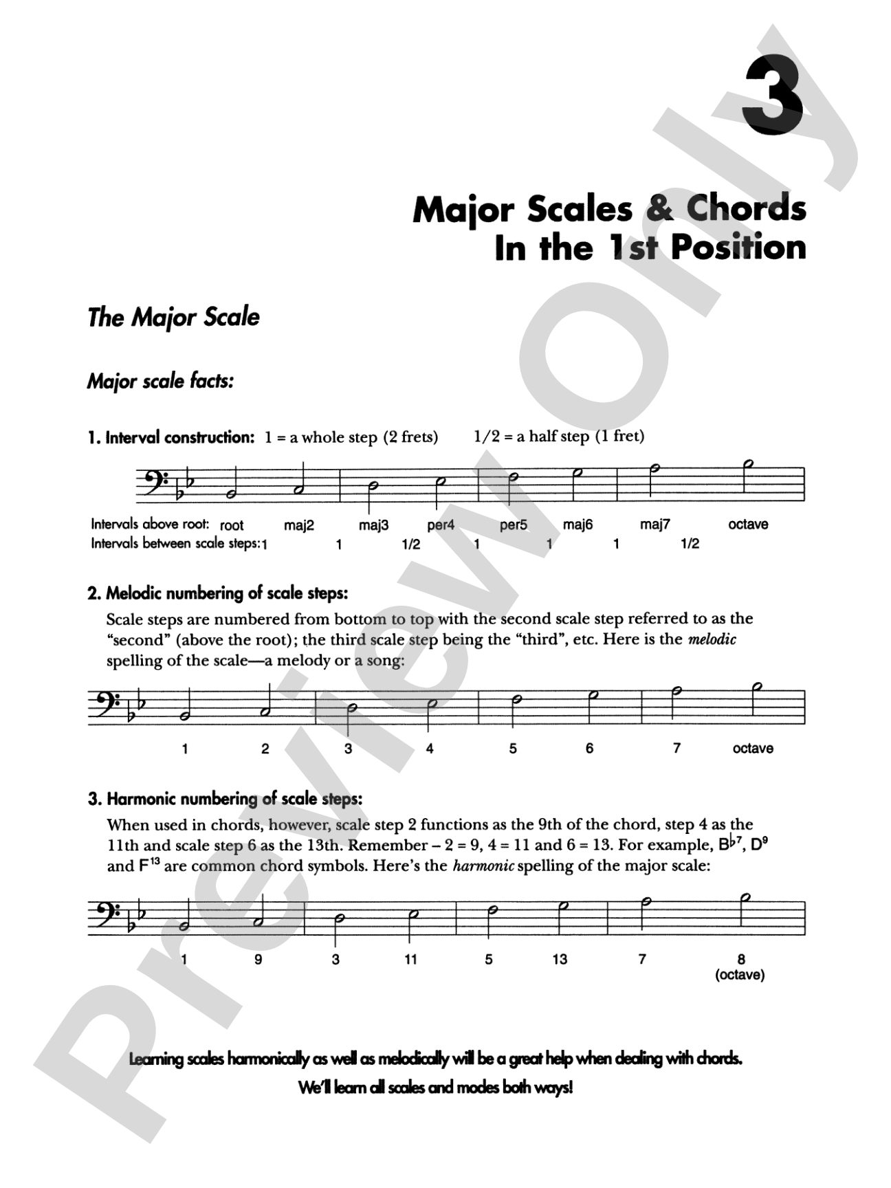 Serious Electric Bass: The Bass Player's Complete Guide to Scales and Chords