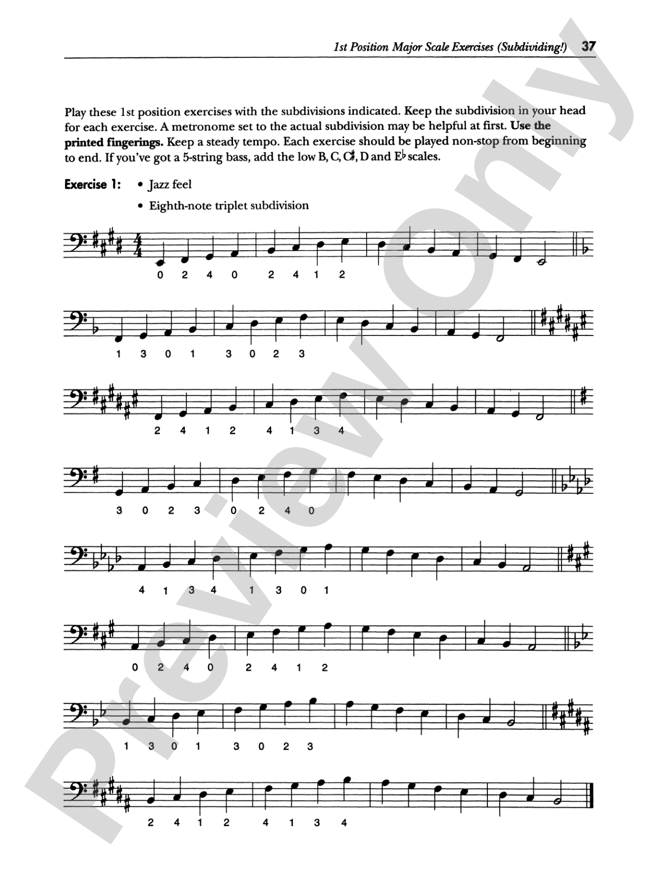 Serious Electric Bass: The Bass Player's Complete Guide to Scales and Chords