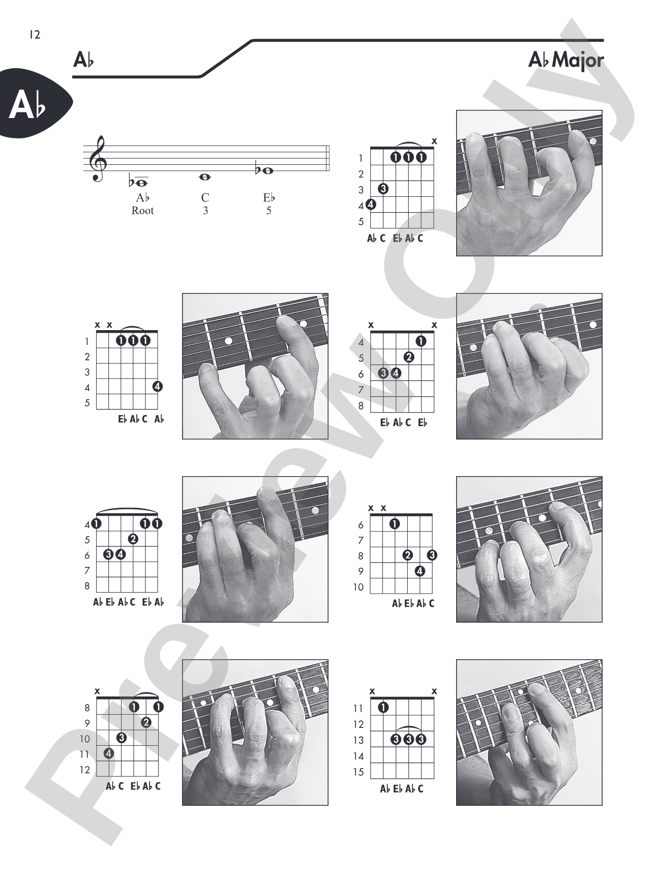 Guitar Picture Chord Encyclopedia: Includes Over 3,100 Chords