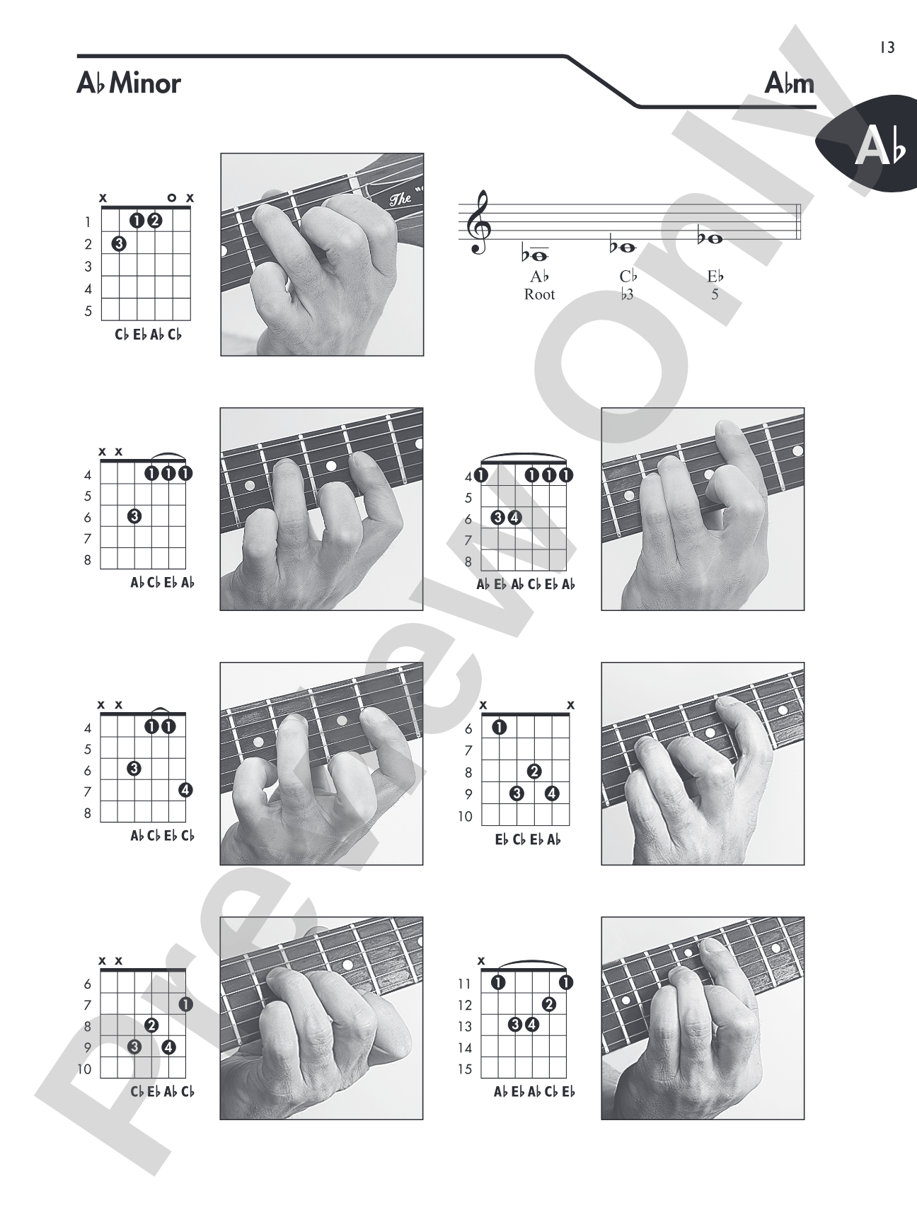 Guitar Picture Chord Encyclopedia: Includes Over 3,100 Chords