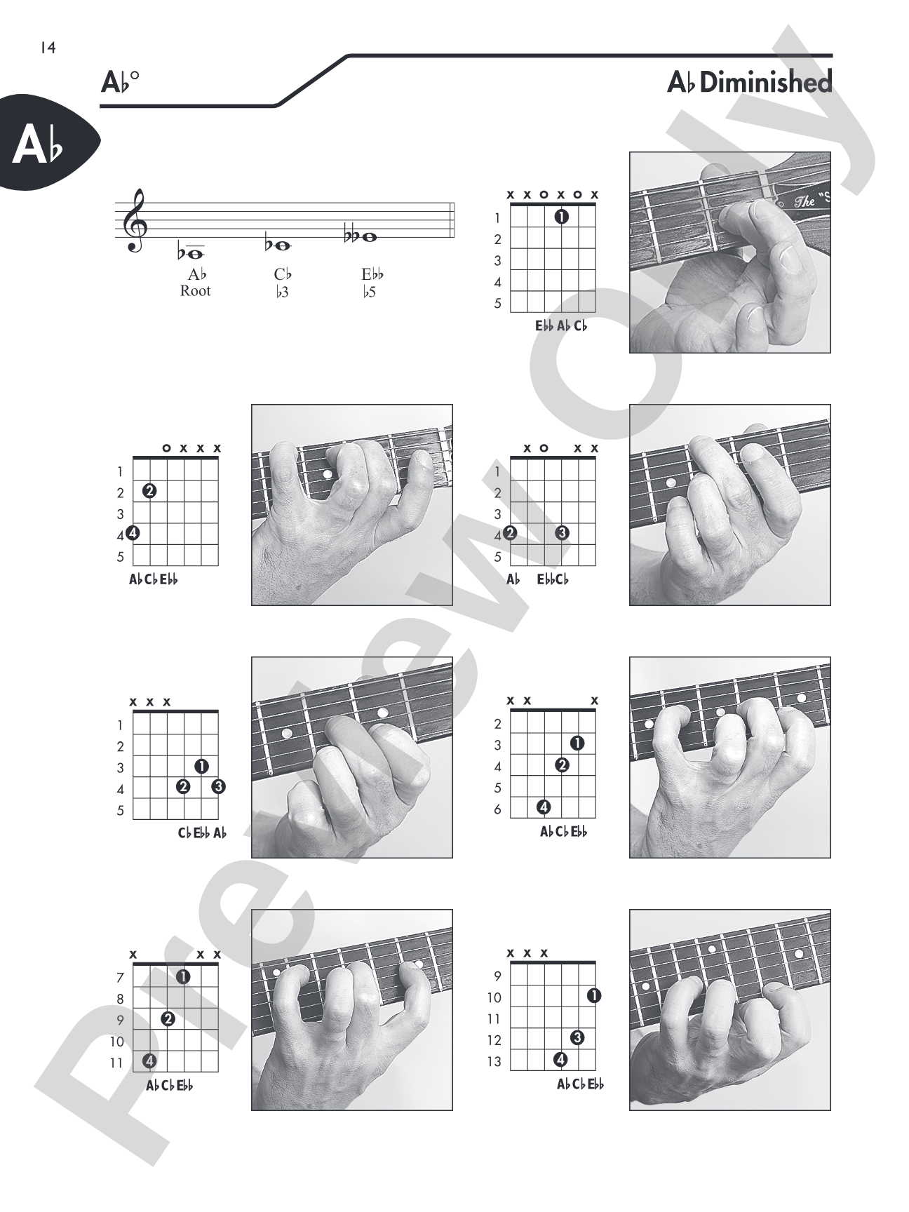 Guitar Picture Chord Encyclopedia: Includes Over 3,100 Chords