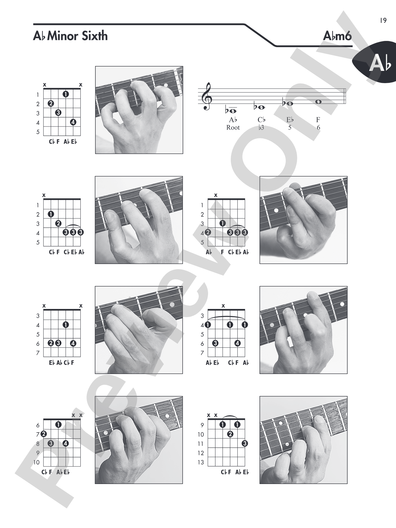 Guitar Picture Chord Encyclopedia: Includes Over 3,100 Chords