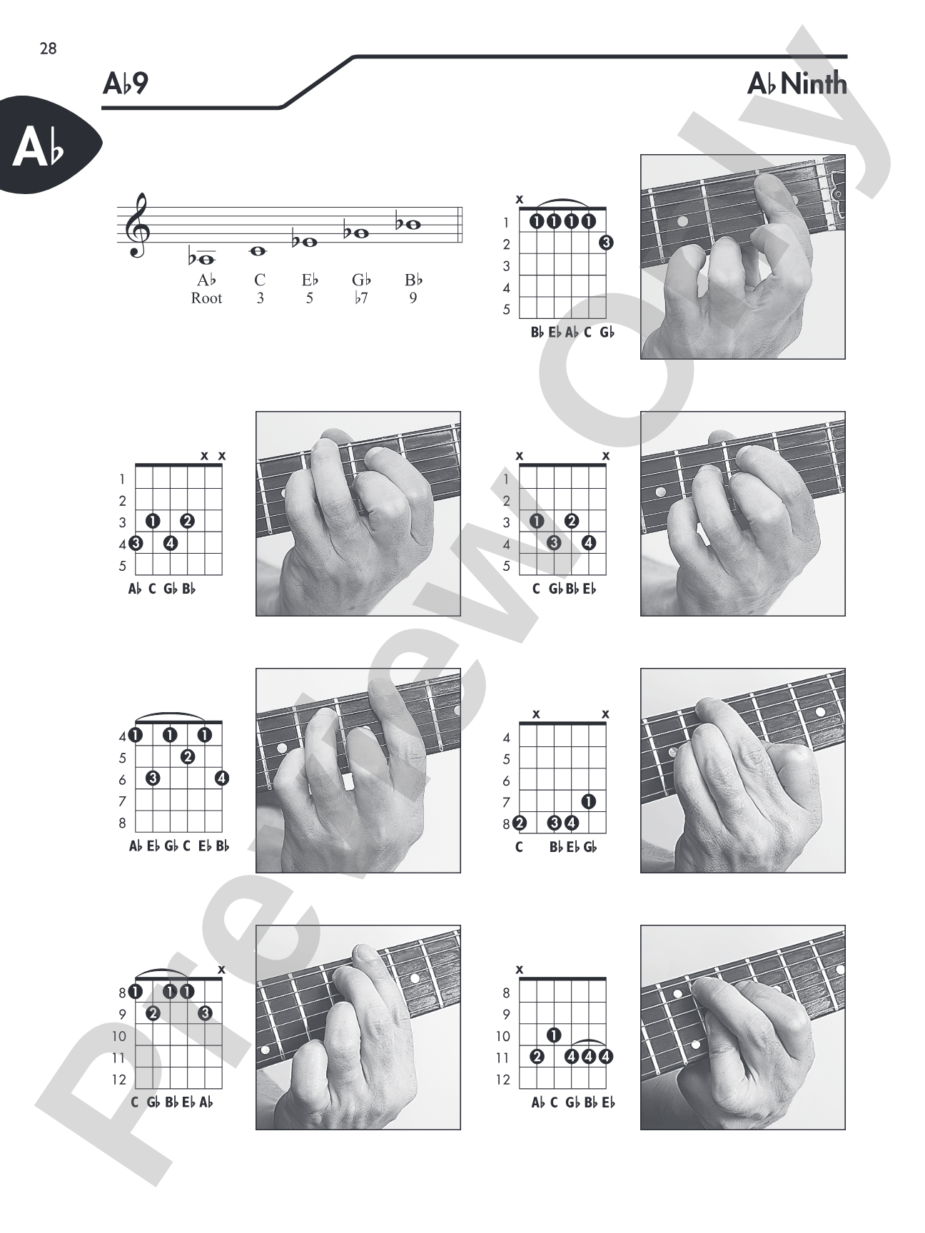 Guitar Picture Chord Encyclopedia: Includes Over 3,100 Chords
