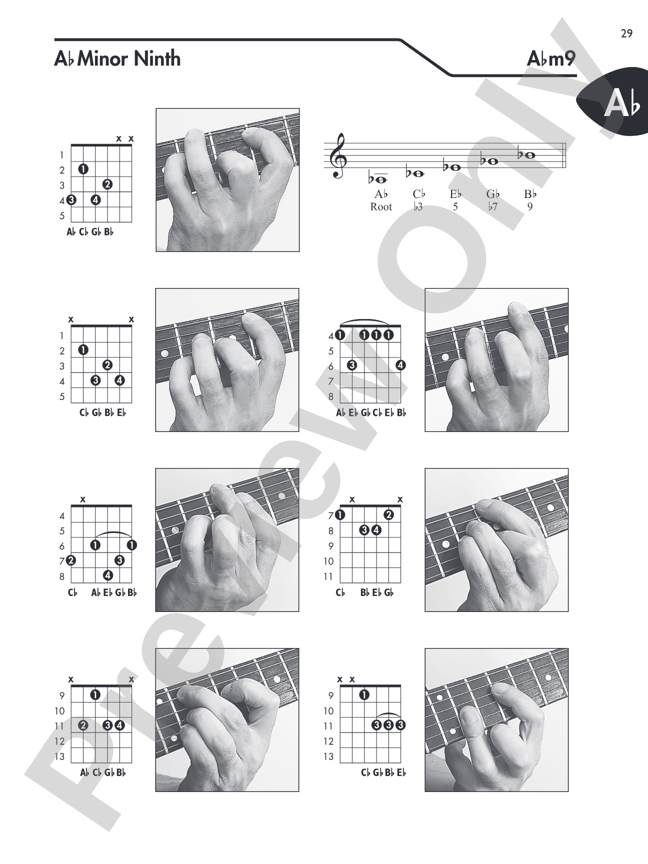 Guitar Picture Chord Encyclopedia: Includes Over 3,100 Chords