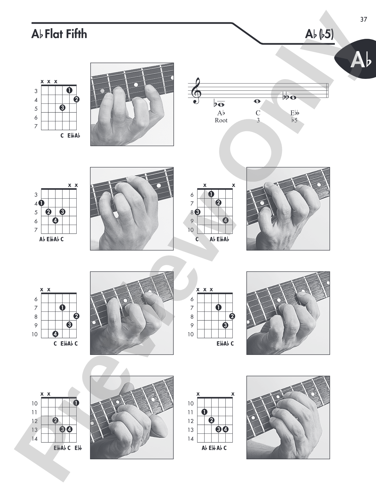 Guitar Picture Chord Encyclopedia: Includes Over 3,100 Chords