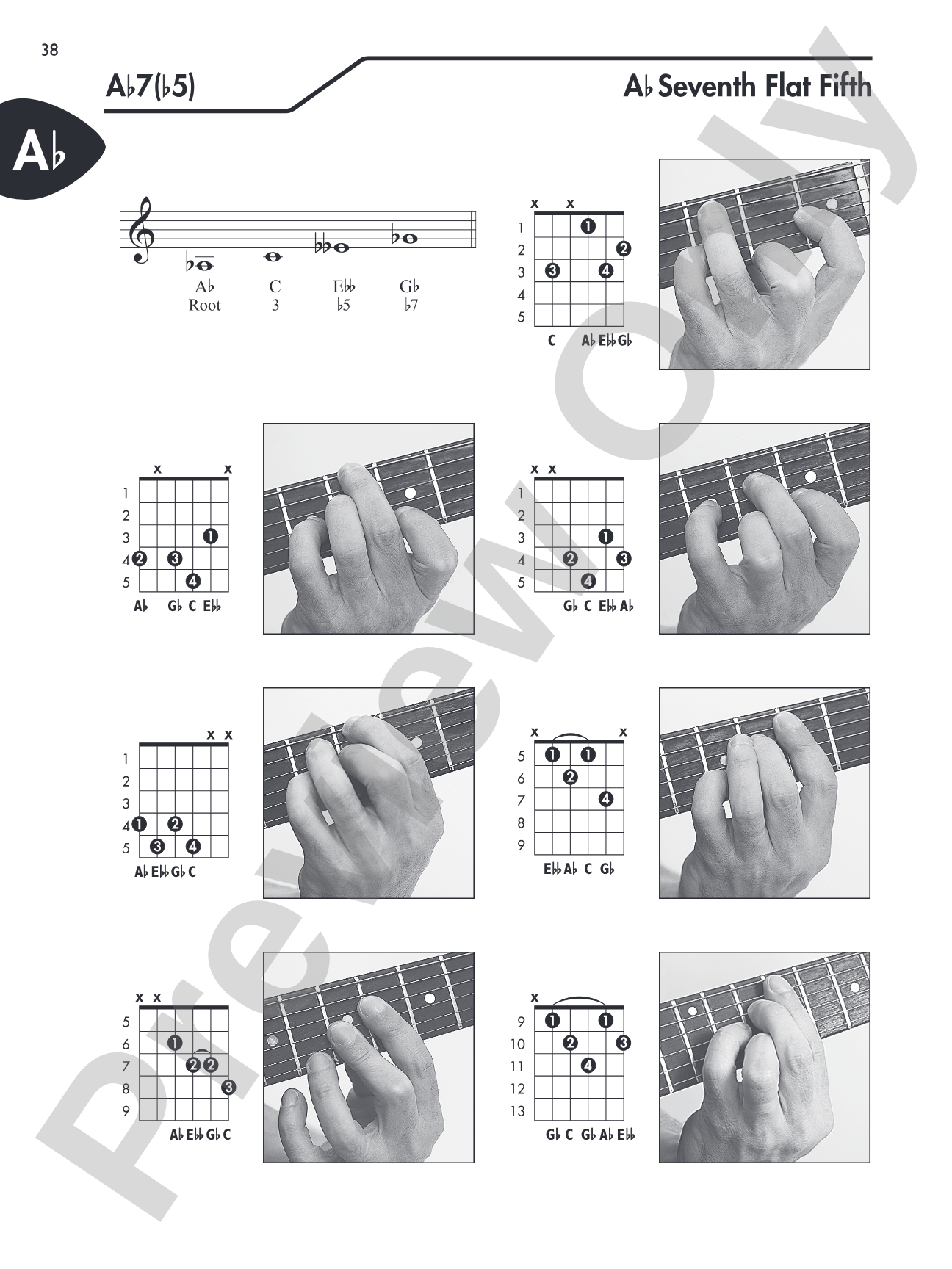 Guitar Picture Chord Encyclopedia: Includes Over 3,100 Chords
