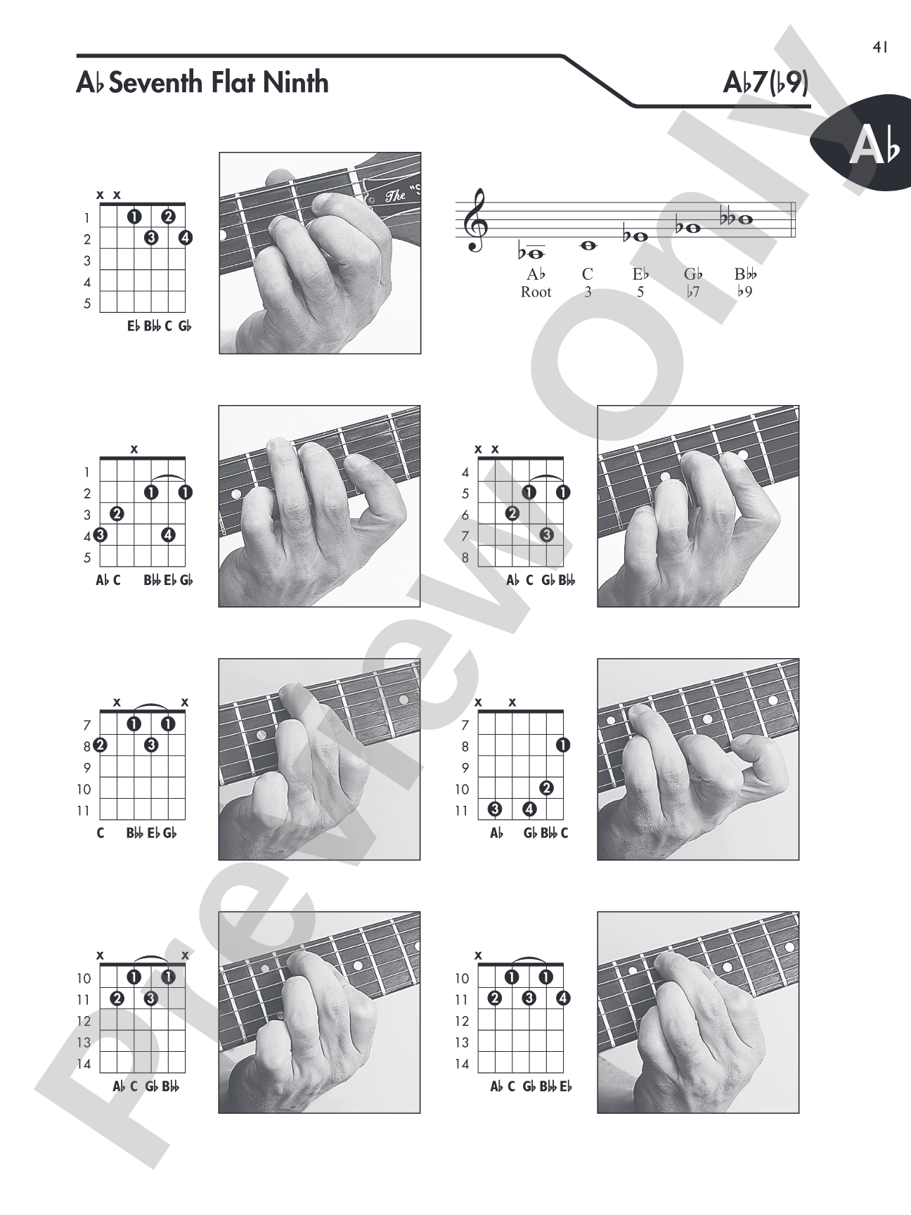 Guitar Picture Chord Encyclopedia: Includes Over 3,100 Chords