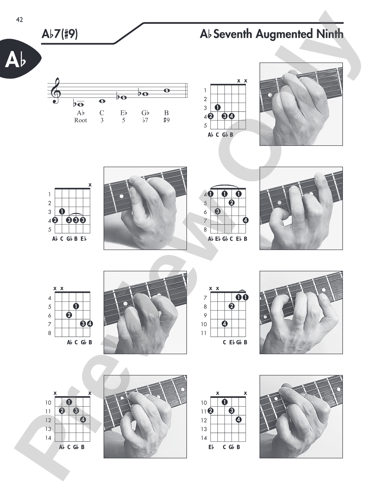 Guitar Picture Chord Encyclopedia: Includes Over 3,100 Chords