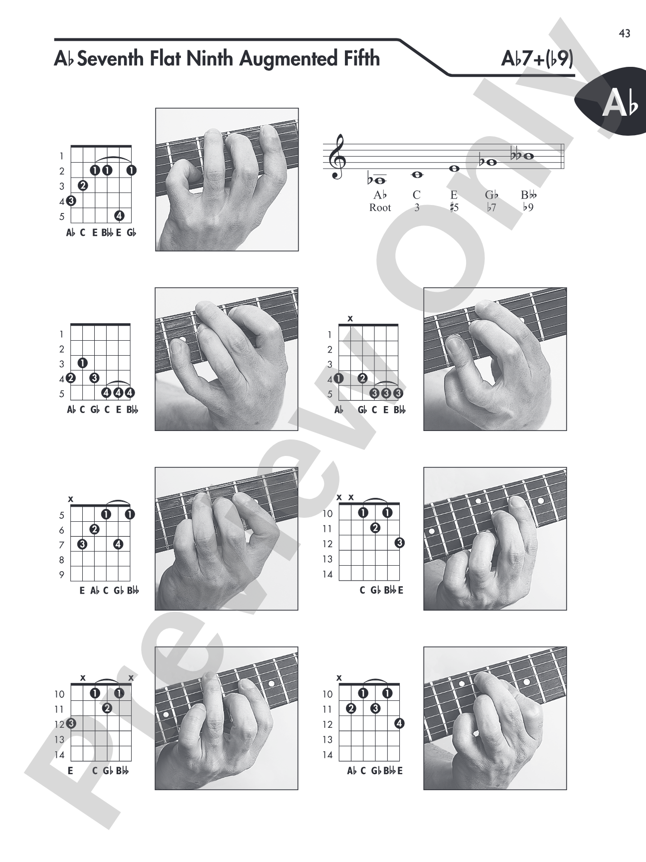 Guitar Picture Chord Encyclopedia: Includes Over 3,100 Chords