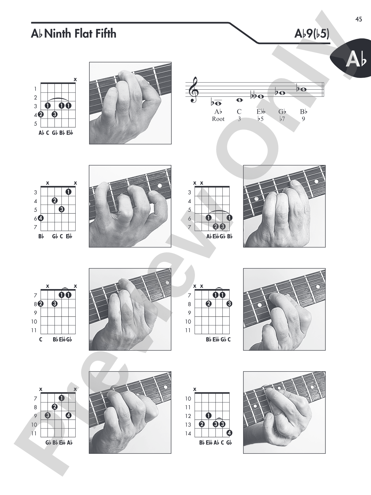 Guitar Picture Chord Encyclopedia: Includes Over 3,100 Chords