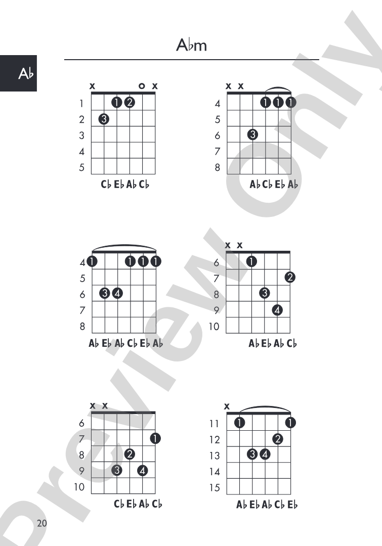 Mini Music Guides: Guitar Chord Dictionary: All the Essential Chords in an Easy-to-Follow Format!