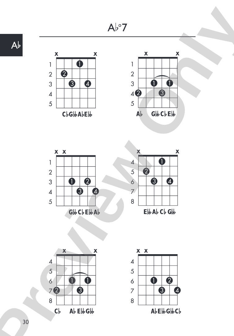Mini Music Guides: Guitar Chord Dictionary: All the Essential Chords in an Easy-to-Follow Format!