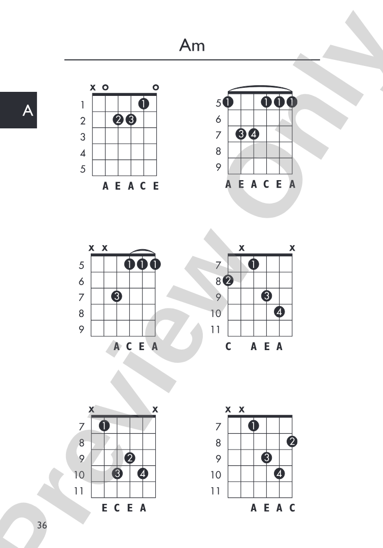Mini Music Guides: Guitar Chord Dictionary: All the Essential Chords in an Easy-to-Follow Format!