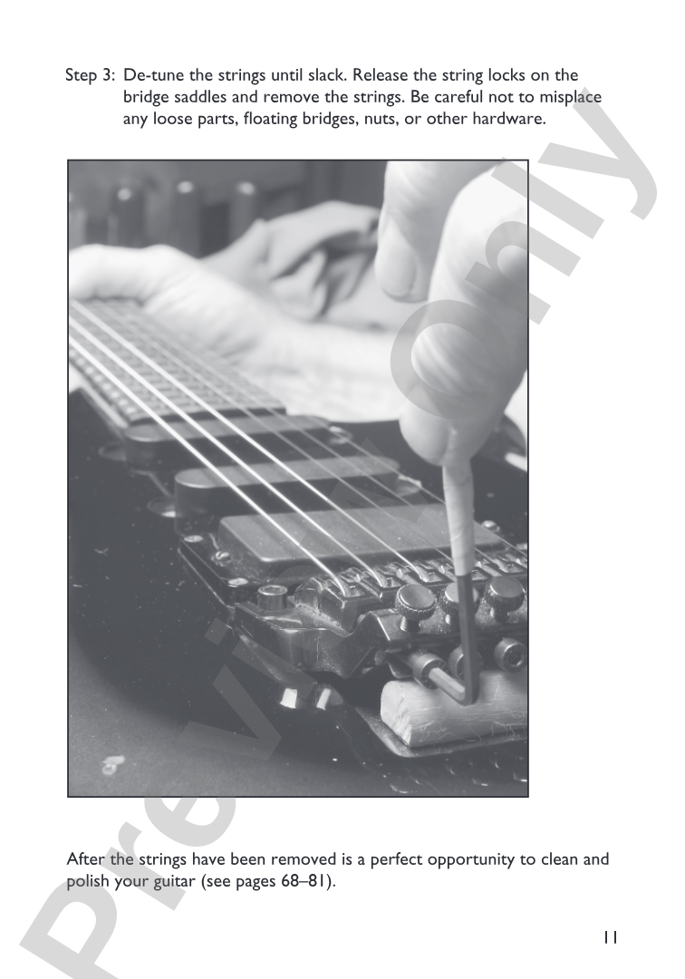 Mini Music Guides: Guitar Care and Gear Essentials: Everything You Need to Know in an Easy-to-Follow Format!