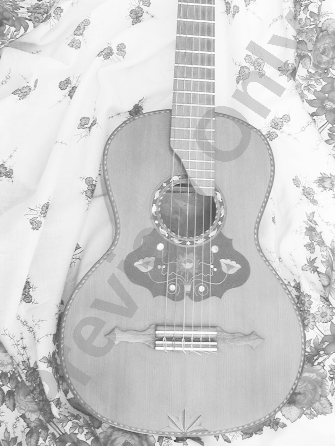 Gypsy Guitar