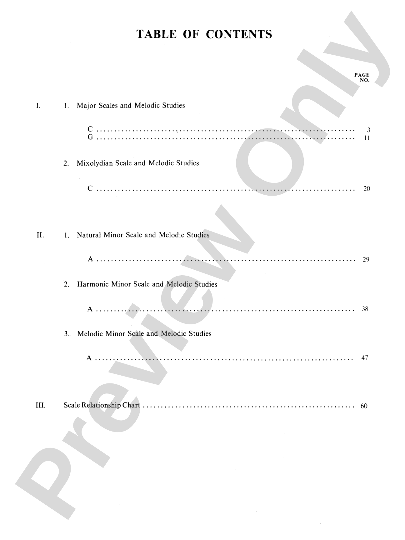 Jay Friedman: Guitar Scales & Melodic Patterns: Steps to Mastering the Fretboard