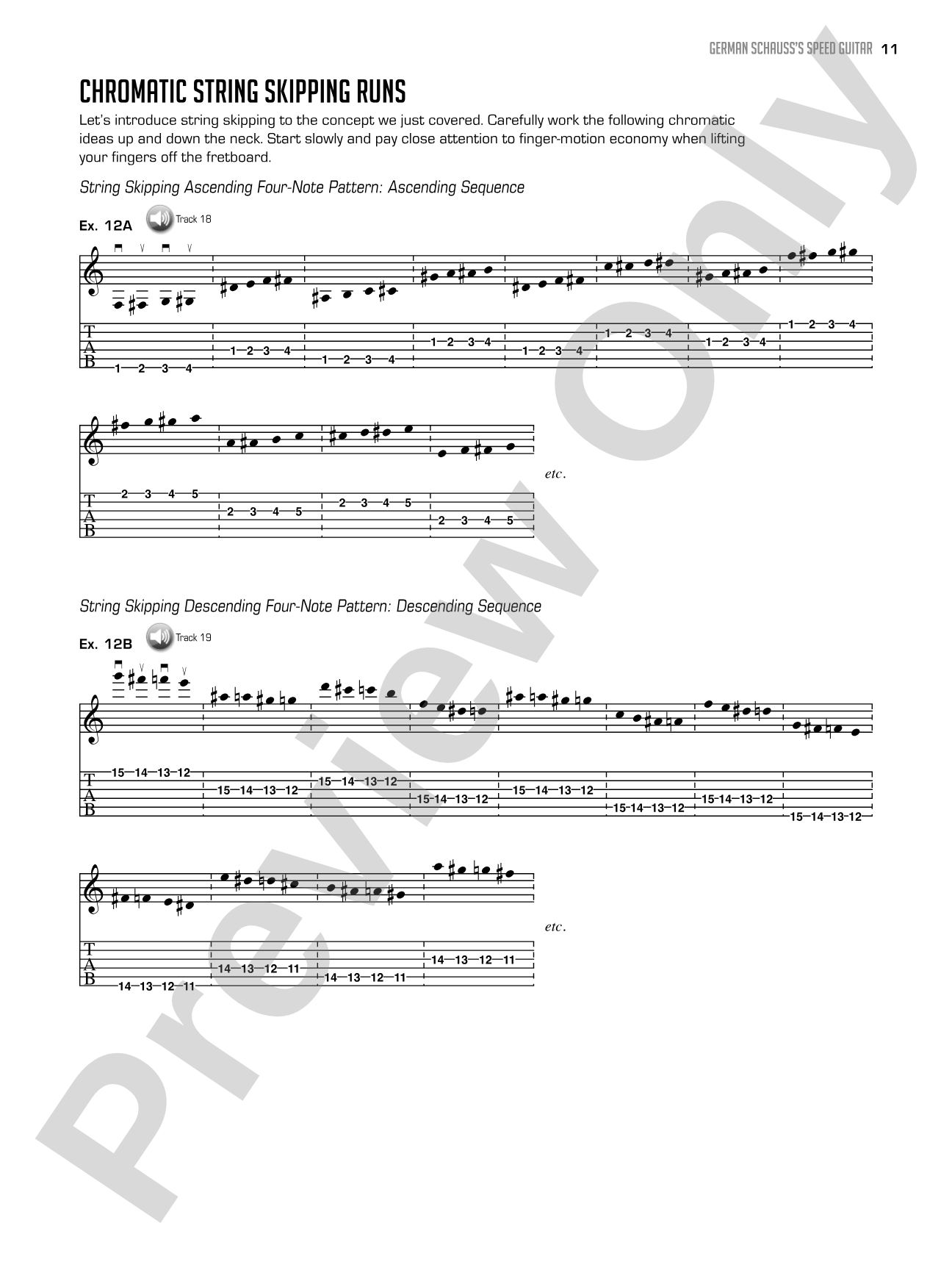 German Schauss's Speed Guitar: Learn Lightning Fast Alternate Picking and Coordination