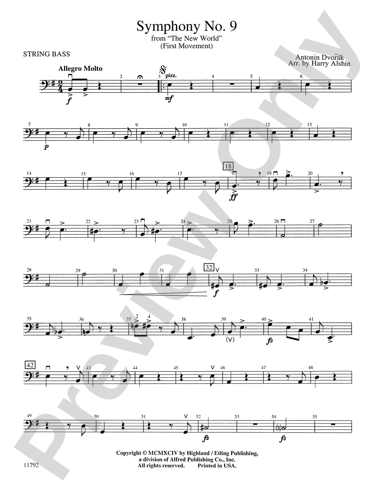 New World Symphony: String Bass